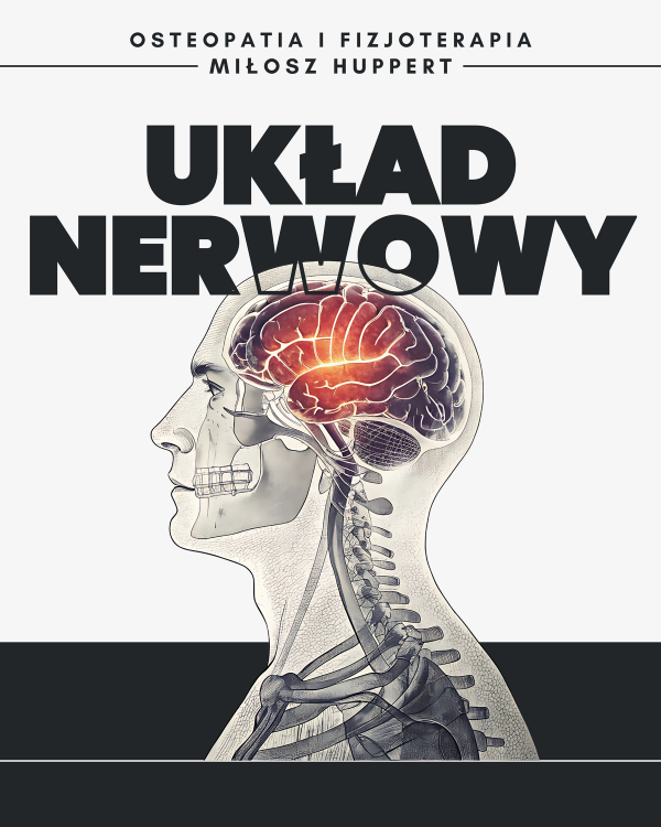 Układ nerwowy