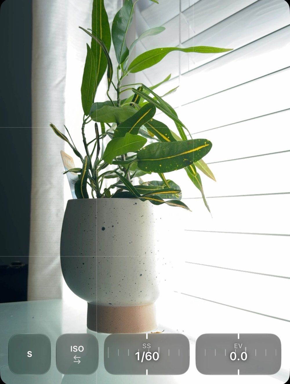 Shutter Priority controls beneath a plant preview, showing shutter duration, ISO, and EV.