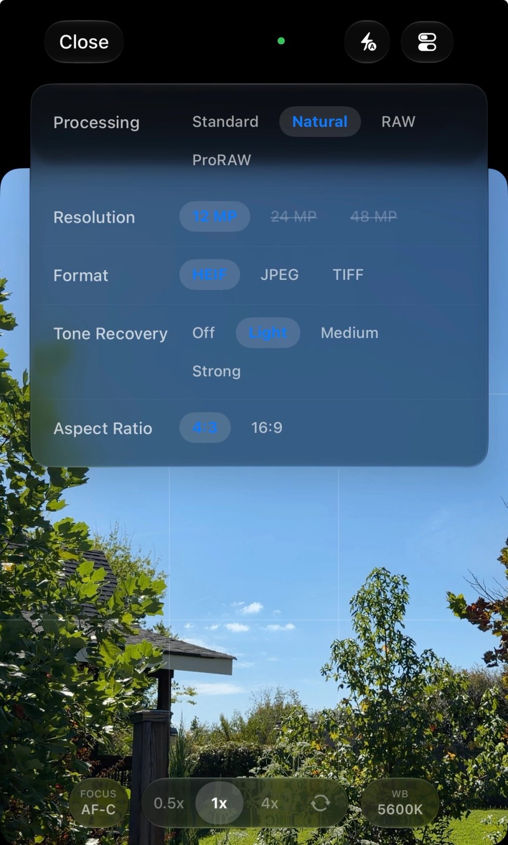 Natural photo processing selected with HEIF, JPEG, TIFF, and Tone Recovery options visible.