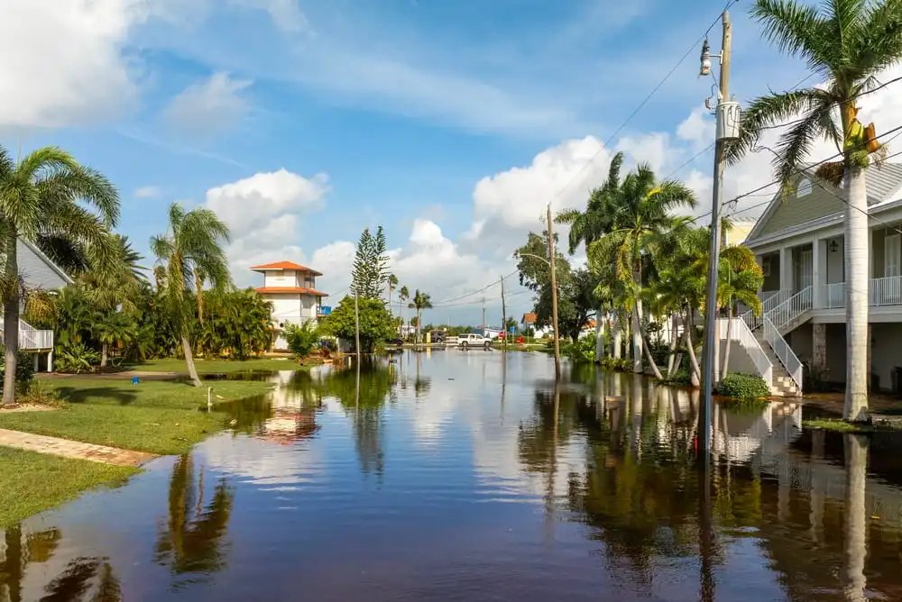 Flooded residential street in the Lowcountry where flood insurance would be needed separately from homeowners insurance