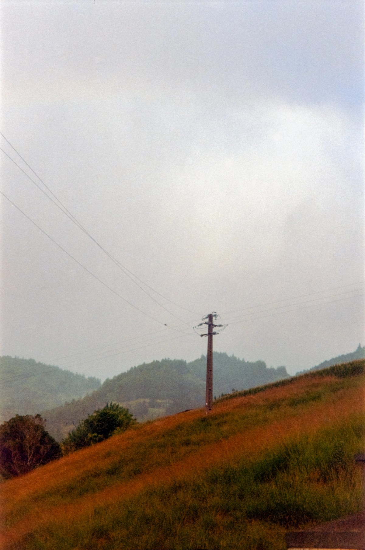 Analog