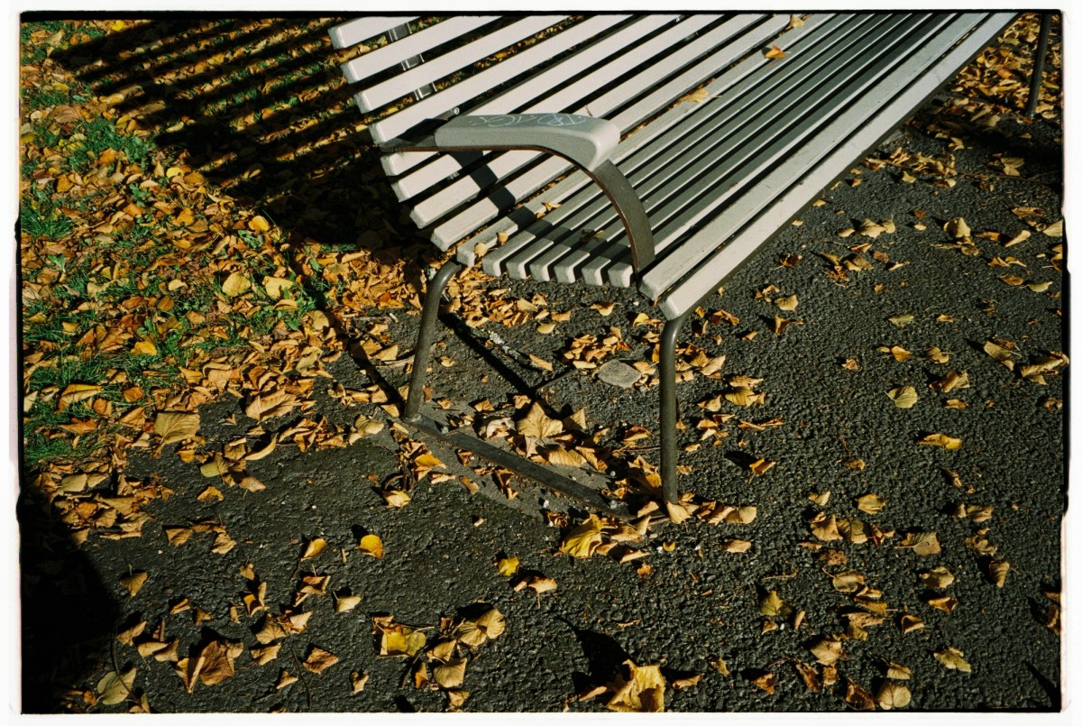 Analog