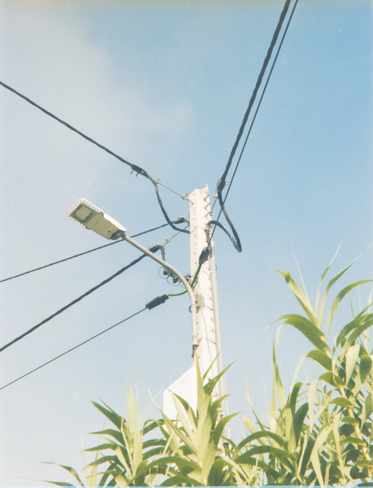 Analog