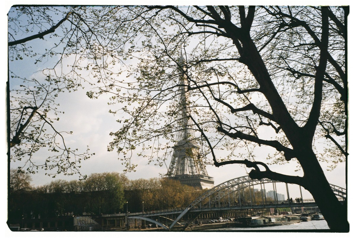 Analog