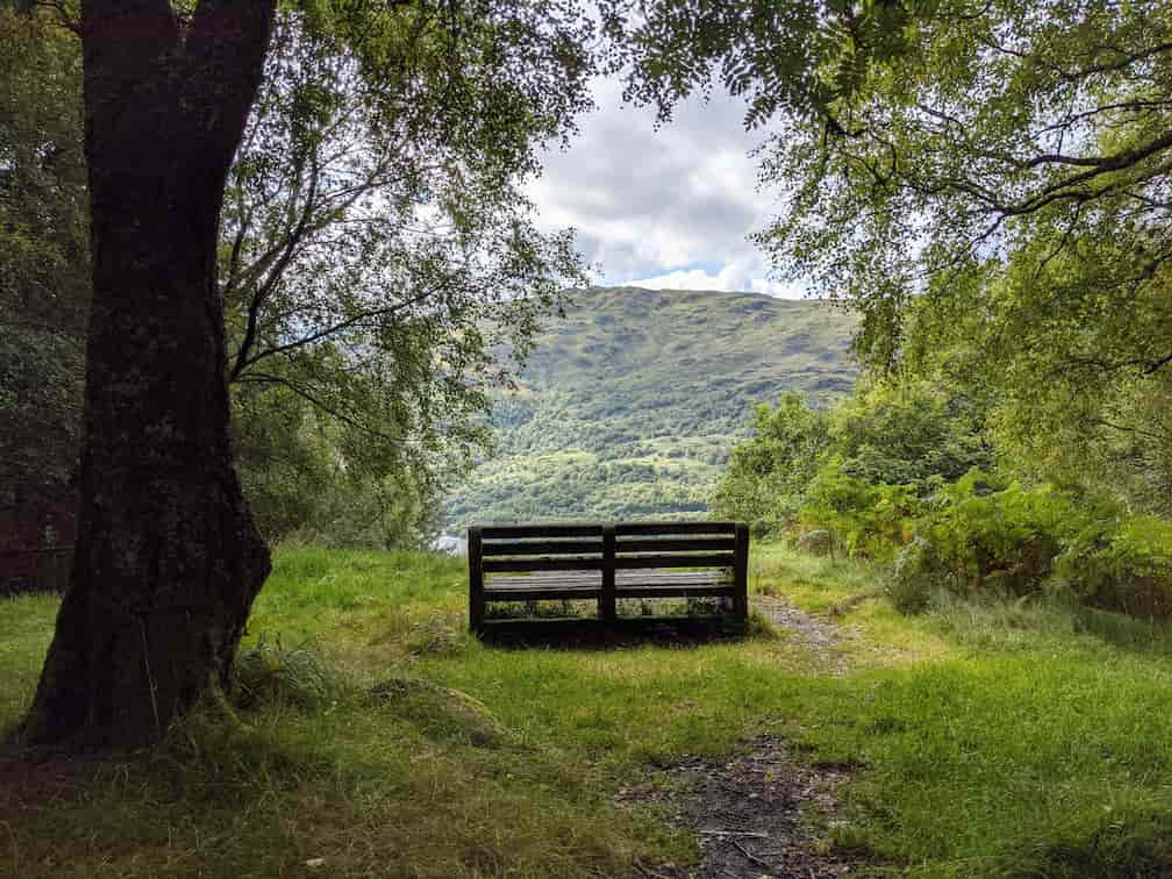 bench overlooking Loch Lomond