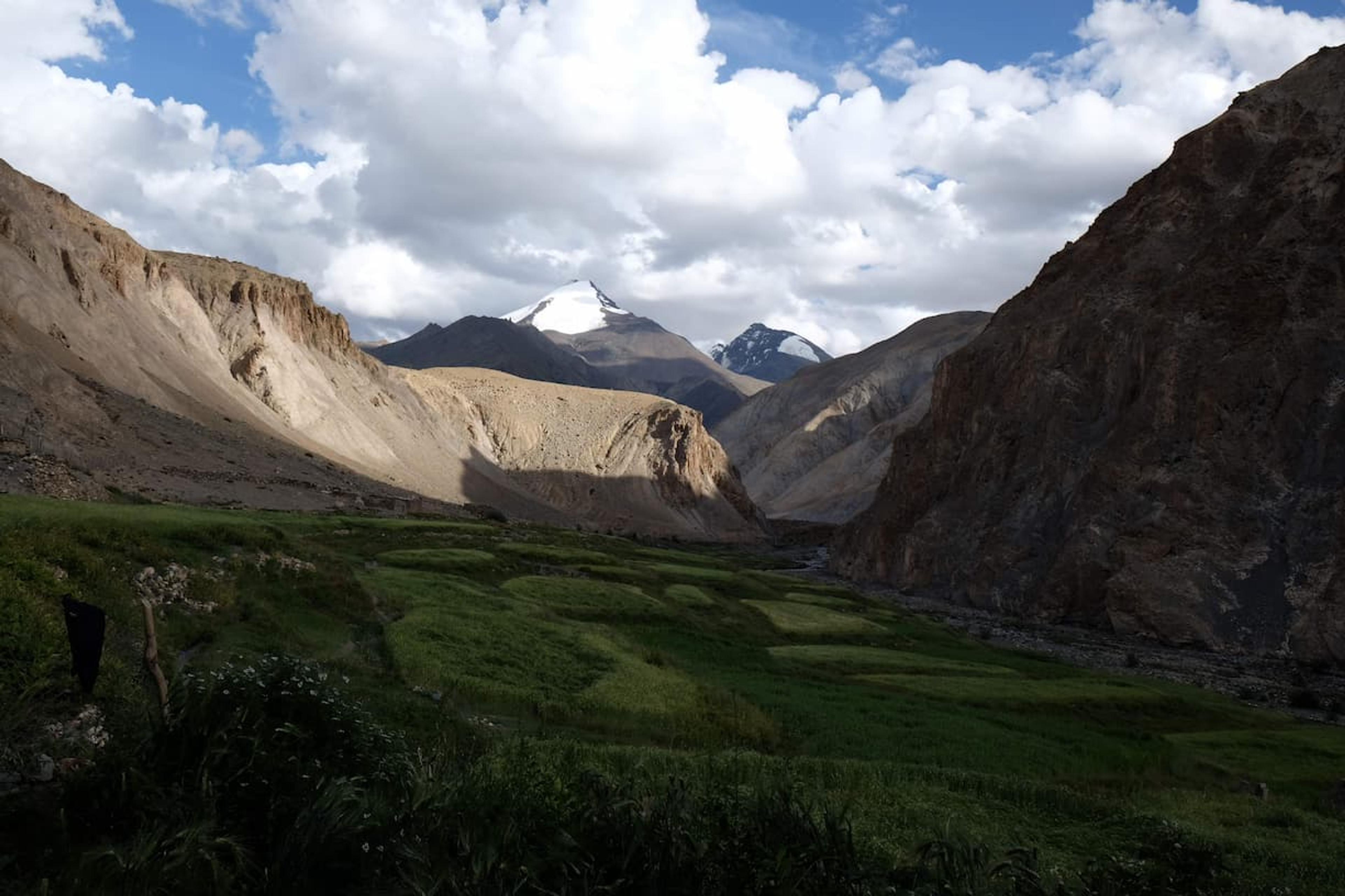 a green valley with a mountainous backdrop