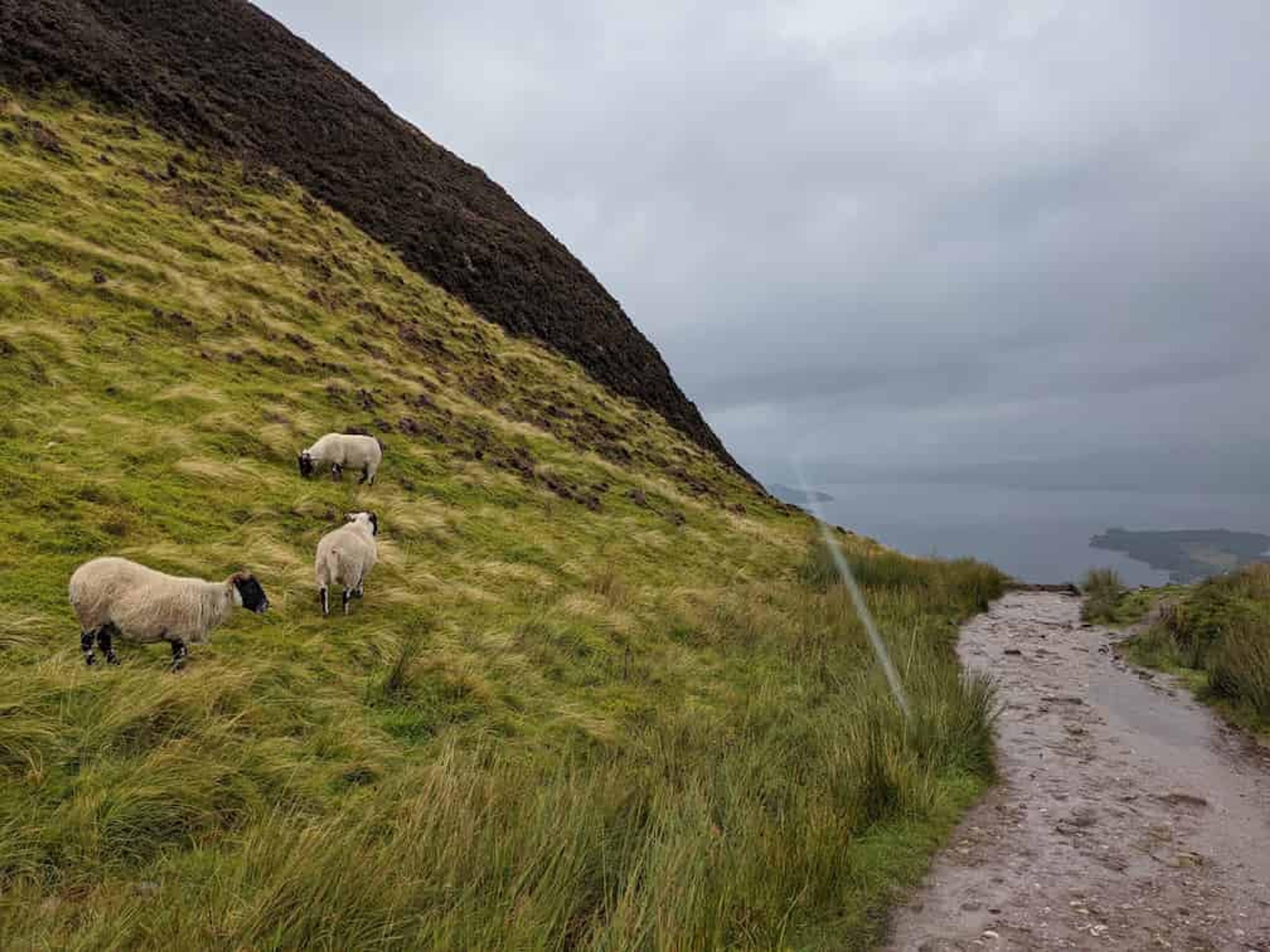 Just shy of the peak of Conic Hill