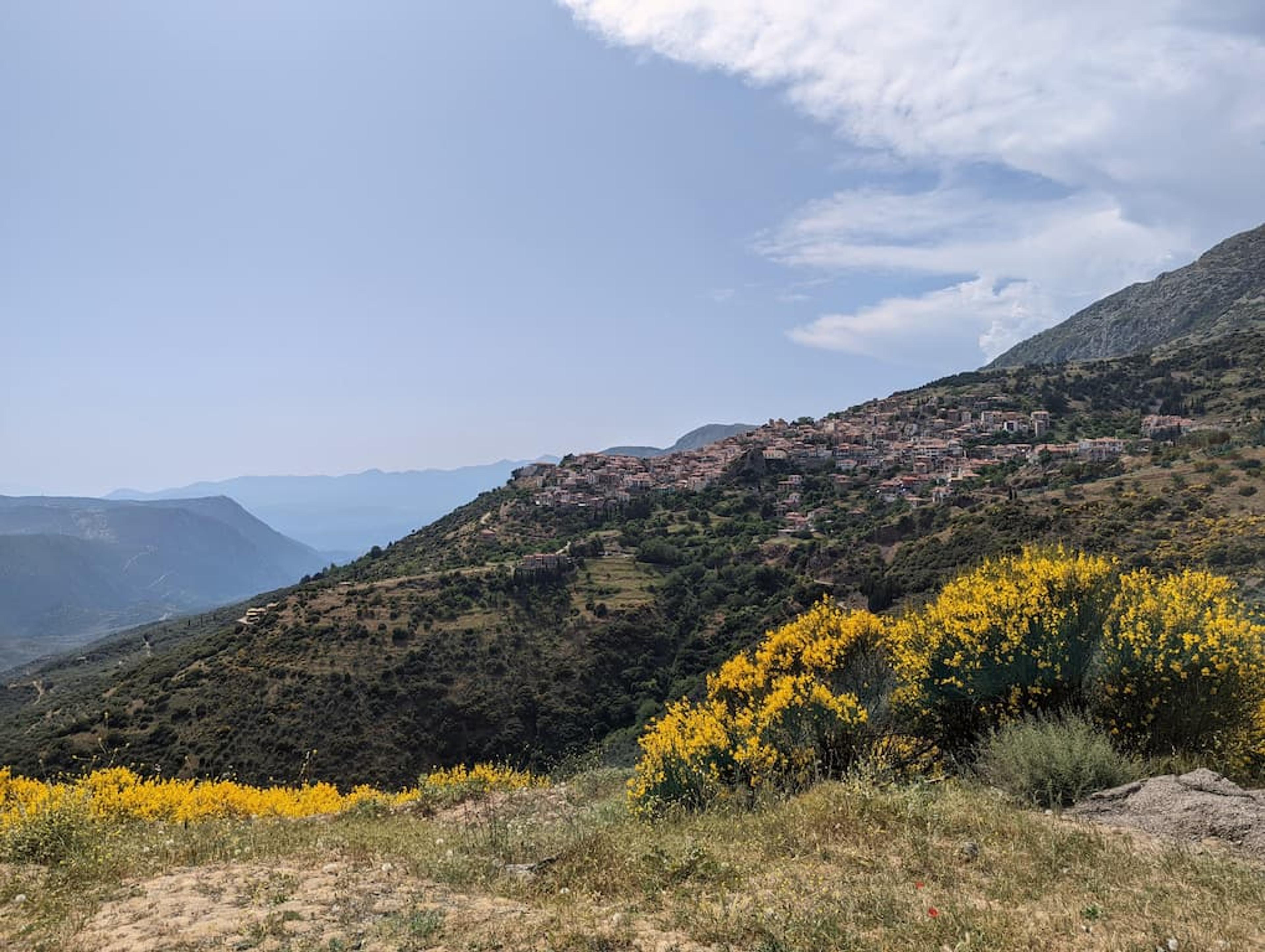 view of the town Arachova with yellow flowers and olive trees