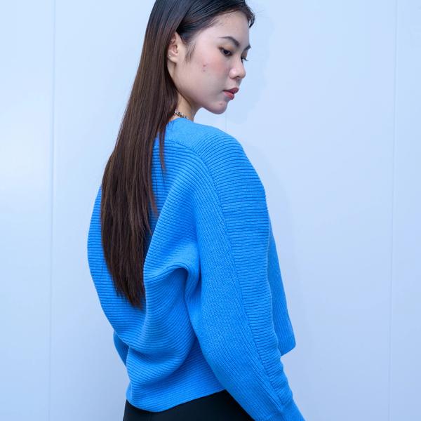s053Klein Blue V-Neck Vertical Rib Knit Sweater 4