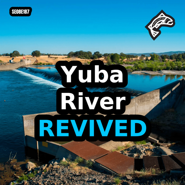 Lower Yuba River Nature - Like Fish Passage Project
