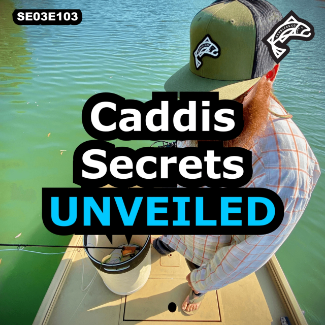 Species Spotlight - Caddis - Entomologist Joe Slusark
