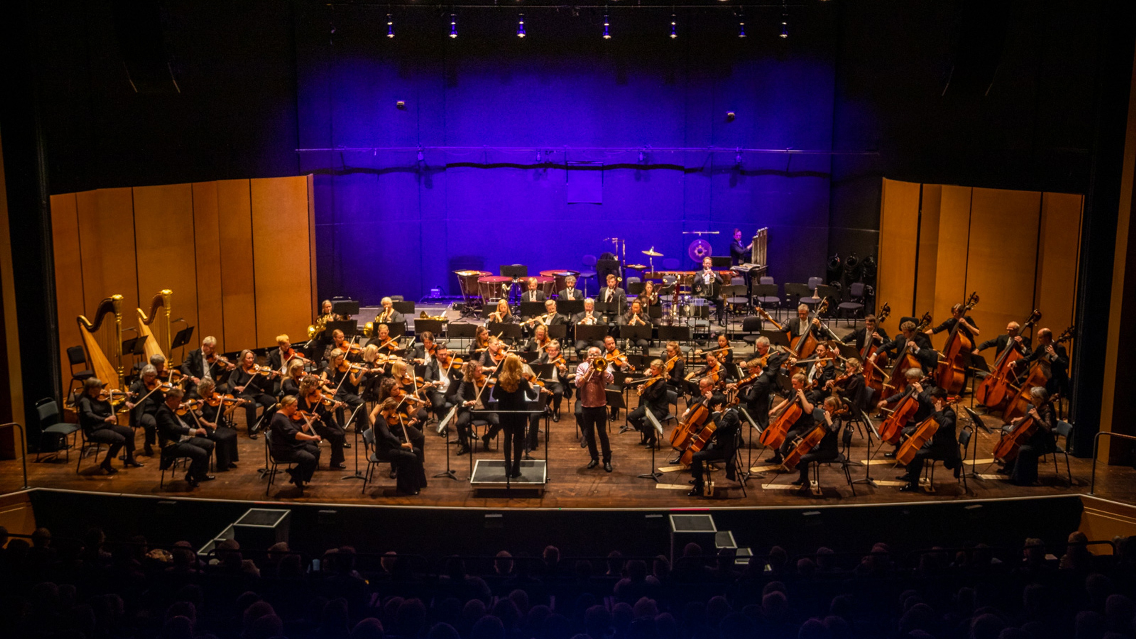 A symphony orchestra photographed from above during a concert in Stora Salen