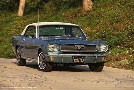 Mustang 289