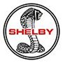 Shelby