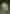 EverythingInBetween_Panagram_Umbrella_2