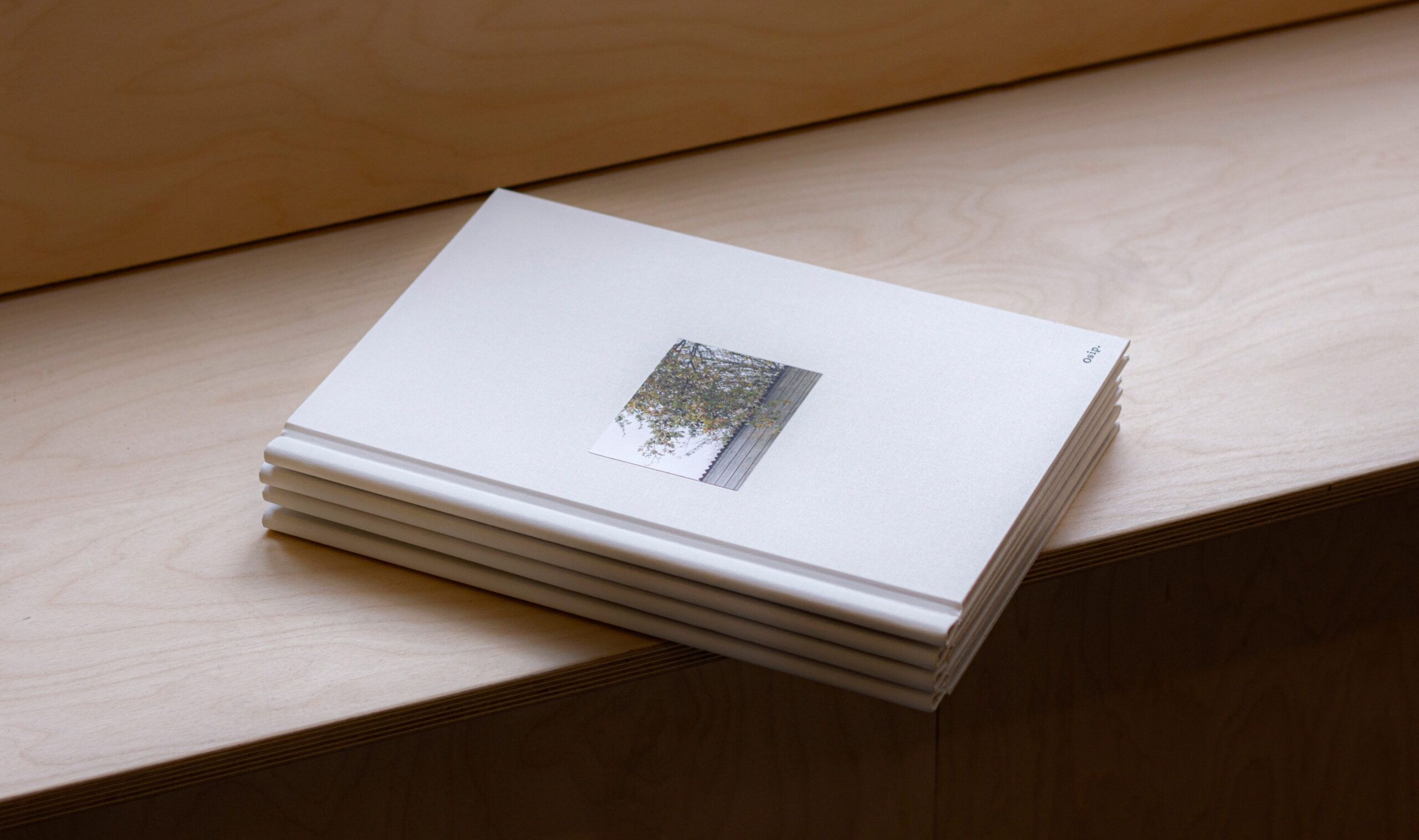 EverythingInBetween_Osip_Print4