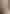 EverythingInBetween_WatchHouse_Chocolate_2