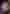 EverythingInBetween_WatchHouse_Greaseproof_1