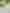 EverythingInBetween_Panagram_Interior_2