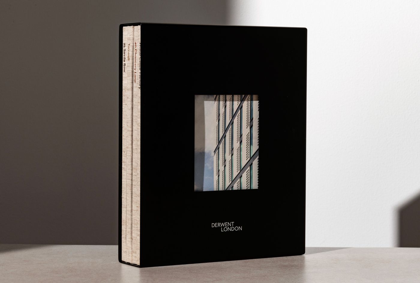 EverythingInBetween_DerwentLondon_Books_SlipCase_1