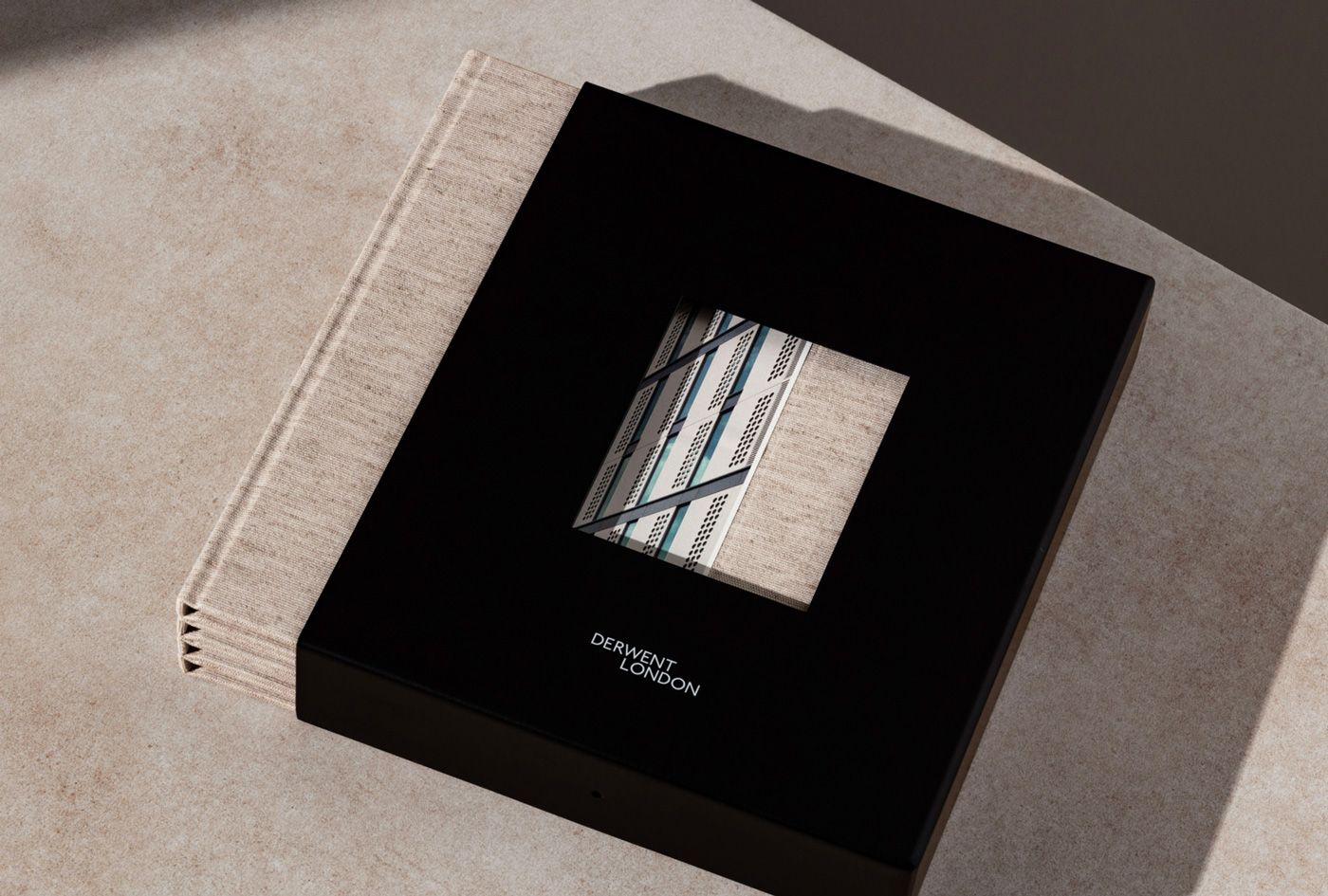 EverythingInBetween_DerwentLondon_Books_SlipCase_2