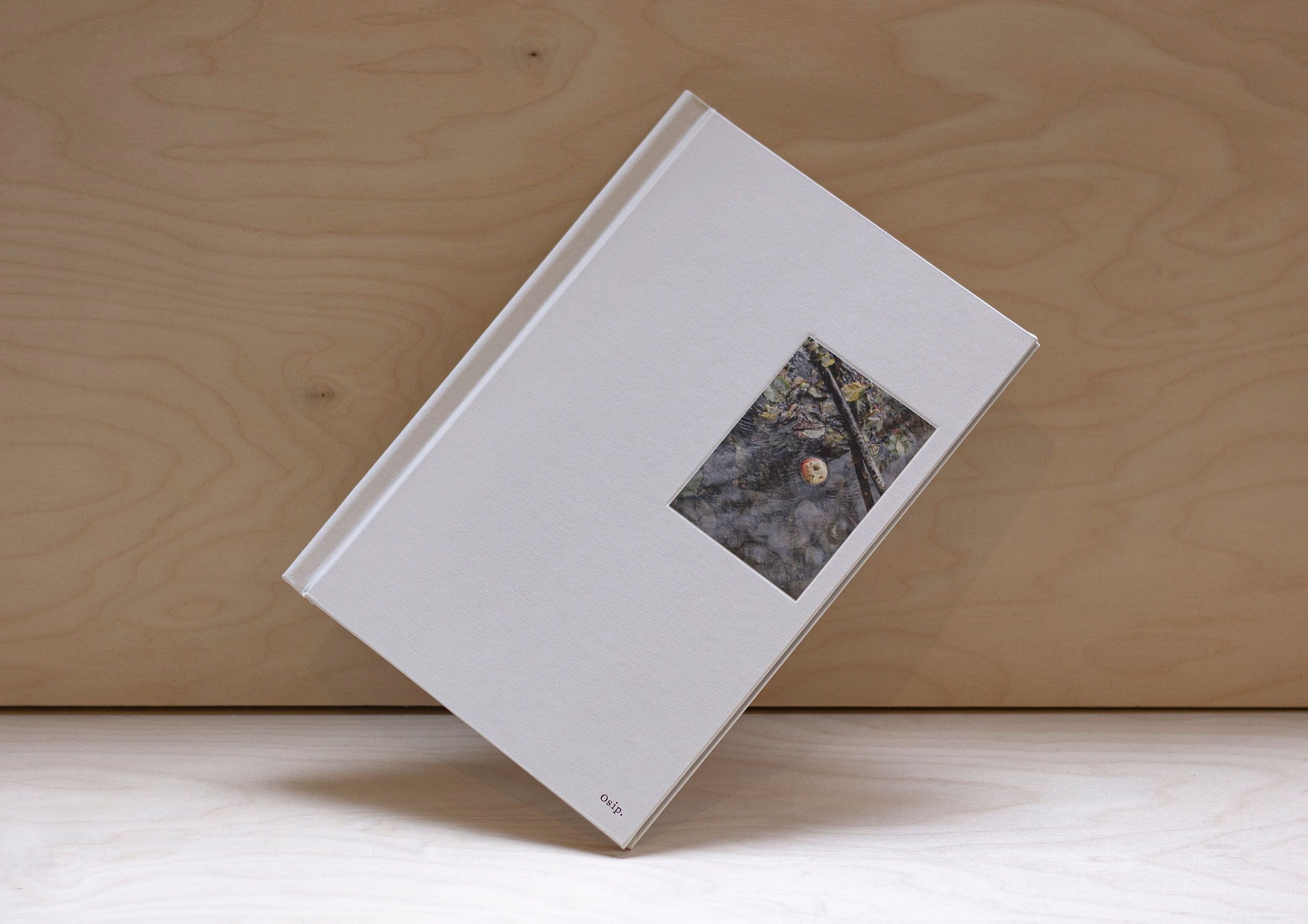 EverythingInBetween_Osip_Book1