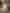 EverythingInBetween_Aben_Packaging_1