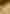 EverythingInBetween_Aben_Tote_1