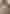 EverythingInBetween_WatchHouse_CoffeeBag_3