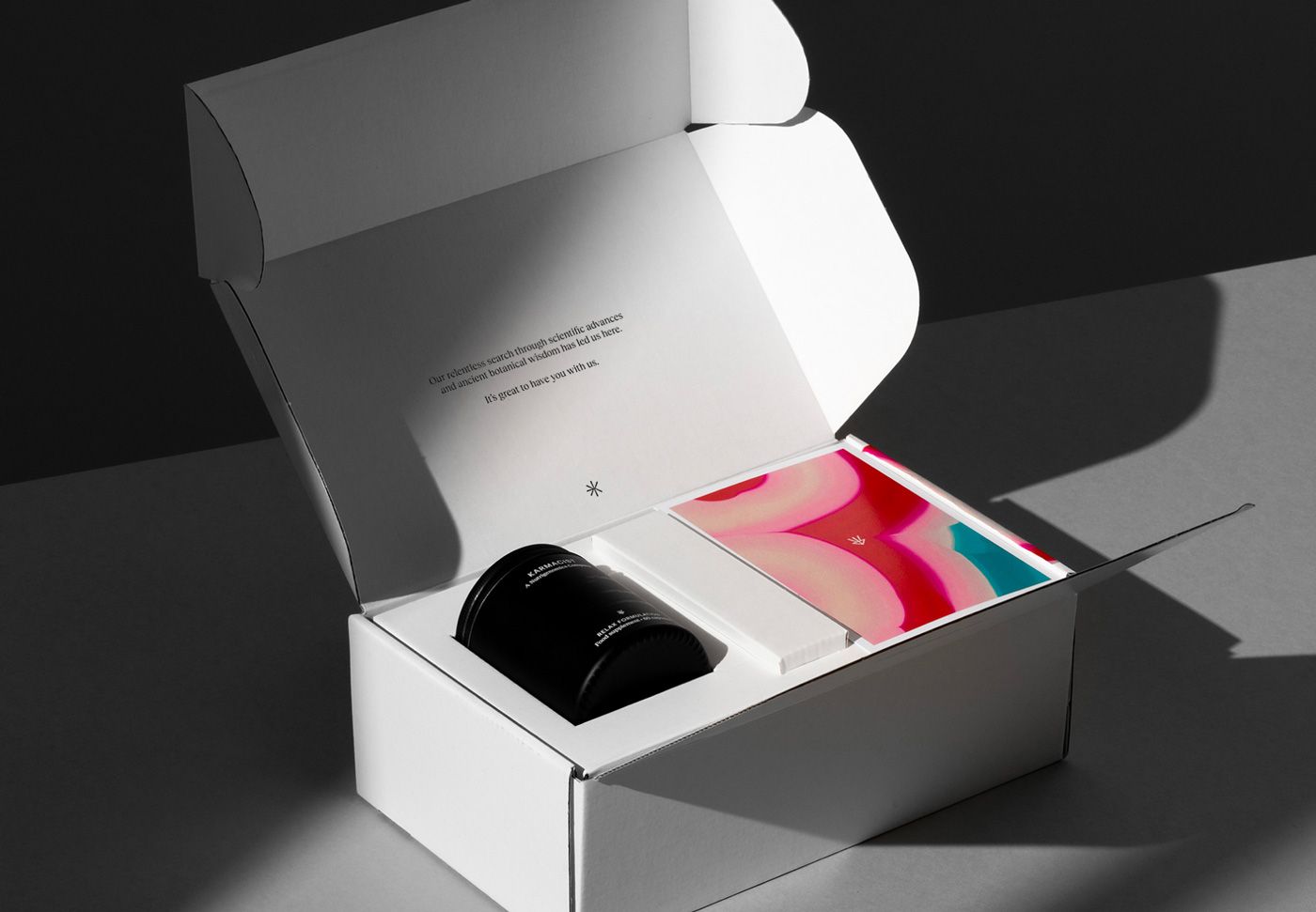 EverythingInBetween_Karmacist_Packaging_10