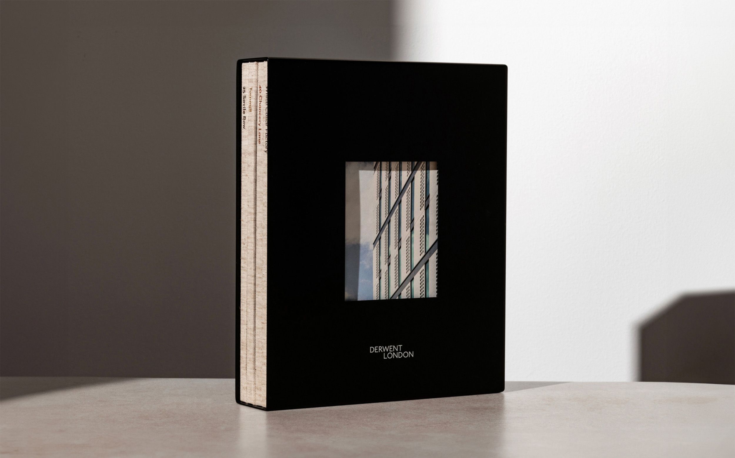 EverythingInBetween_DerwentLondon_Books_SlipCase_1
