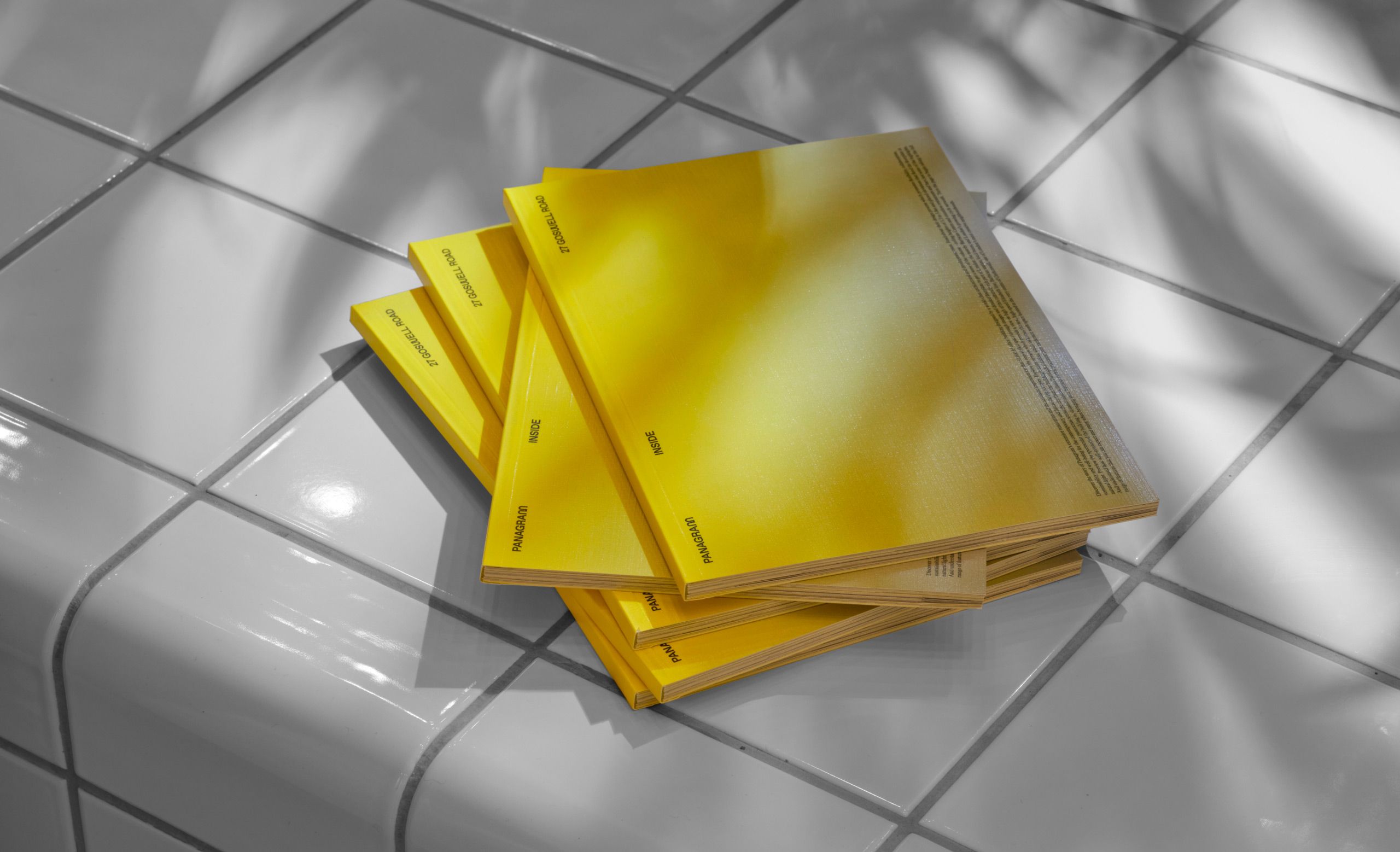 EverythingInBetween_Panagram_Brochure_3