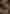 EverythingInBetween_WatchHouse_Chocolate_3
