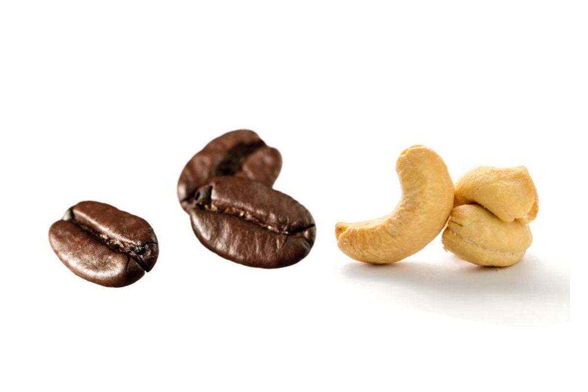 Lợi Ích Sức Khỏe Đến Từ Sự Kết Hợp Giữa Cafe Và Hạt Điều