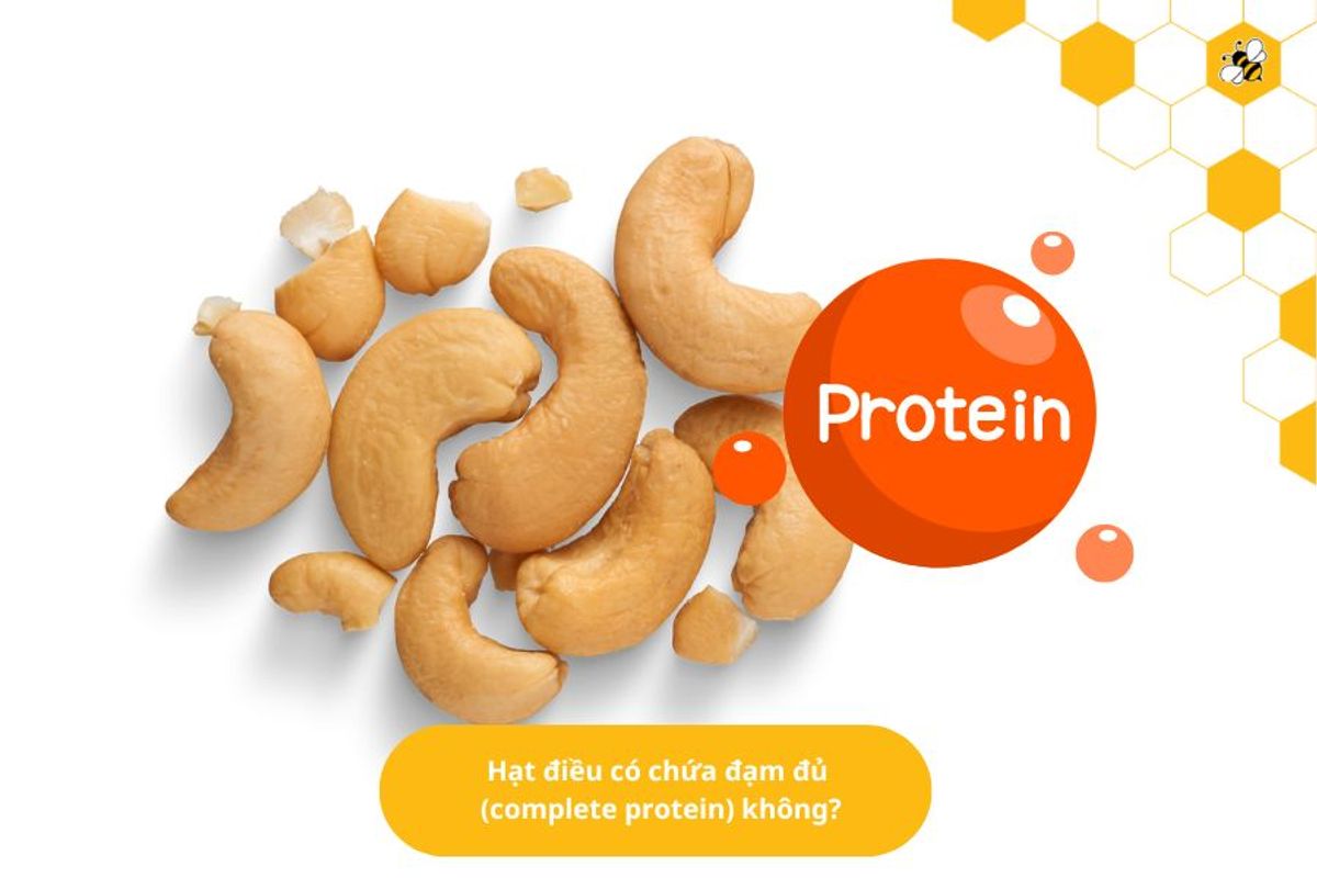 Hạt điều có chứa đạm đủ (complete protein) không?