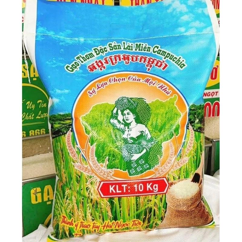Gạo Lài Miên Campuchia cô gái (10kg) Cơm Dẻo ngọt và dai cơm