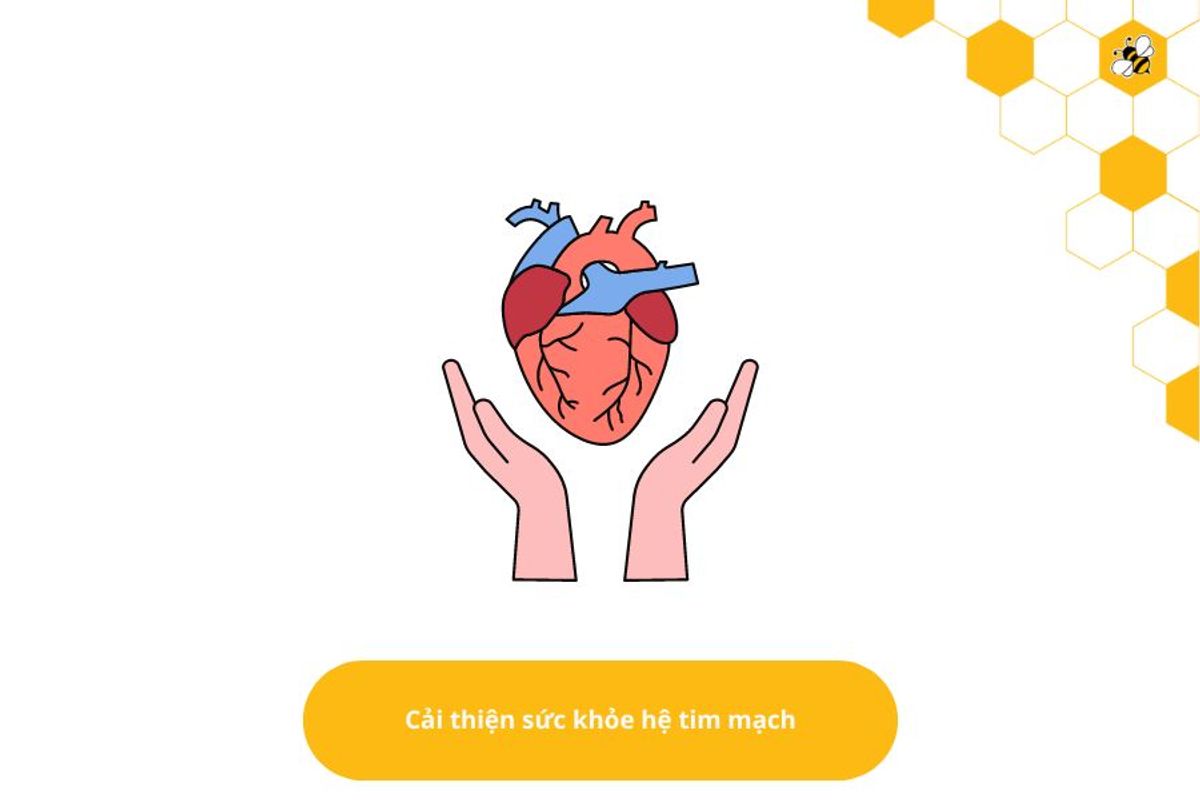 Cải thiện sức khỏe hệ tim mạch