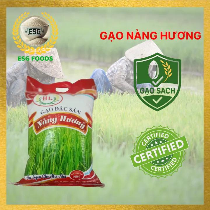 Gạo Nàng Hương thơm đặc trưng, hạt dài trắng đẹp, cơm mềm dẻo, ngọt nhẹ, đóng gói 10kg