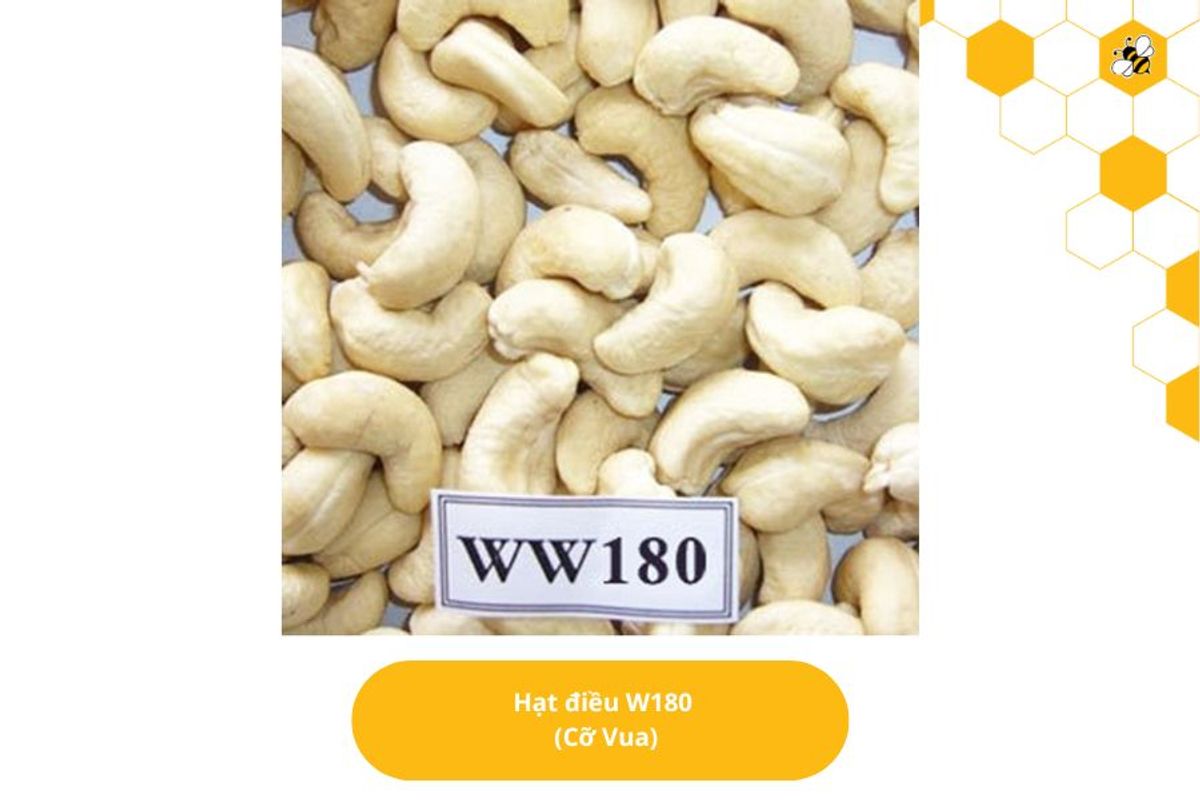 Hạt điều W180 (Cỡ Vua)