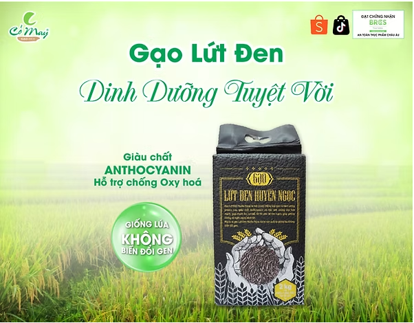 Gạo Lứt Đen Huyền Ngọc