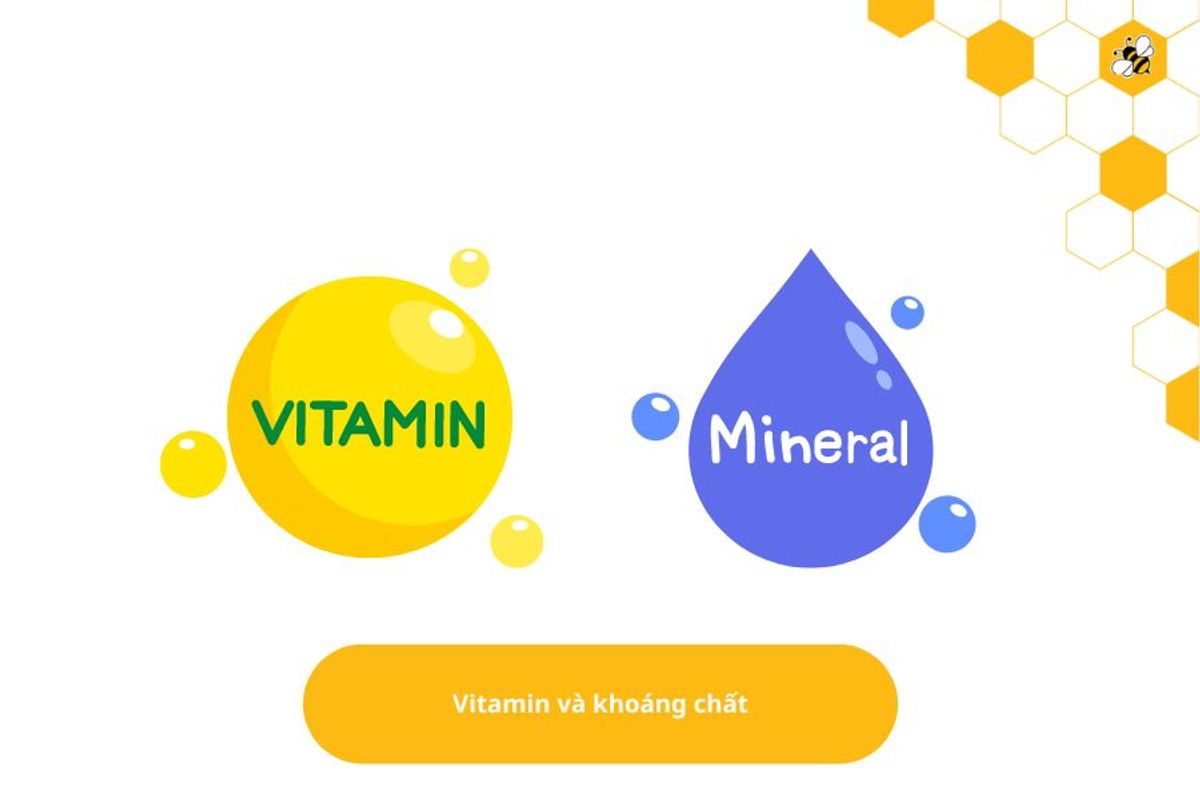 Vitamin và khoáng chất