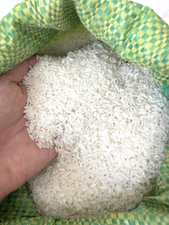 Gạo Hàm Châu túi 15kg nở mềm xốp cơm không dẻo