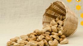 Lượng cards trong hạt điều