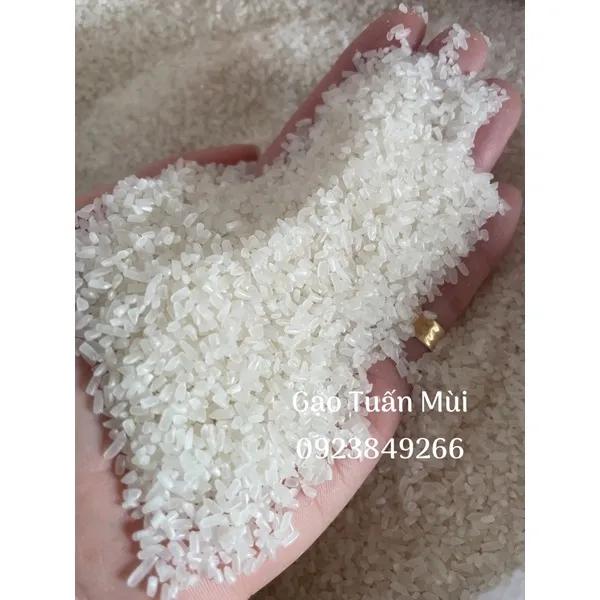 Gạo Tấm Thơm ( Túi 5 Ký) Dẻo ,Thơm Cơm ,Gạo Dùng Để Nấu Cơm Tấm)