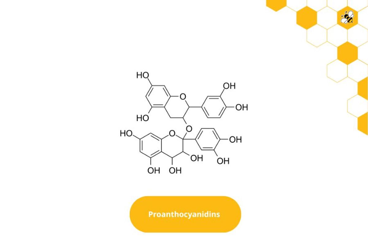 Proanthocyanidins