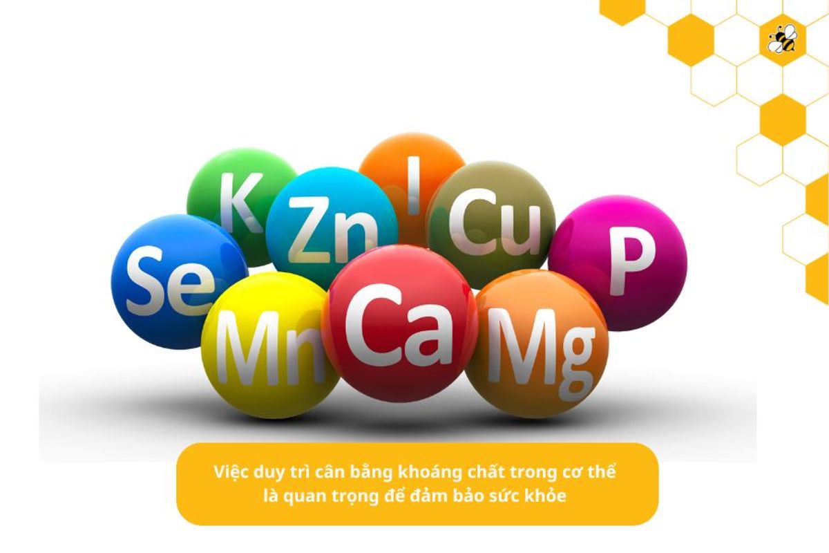 Việc duy trì cân bằng kho