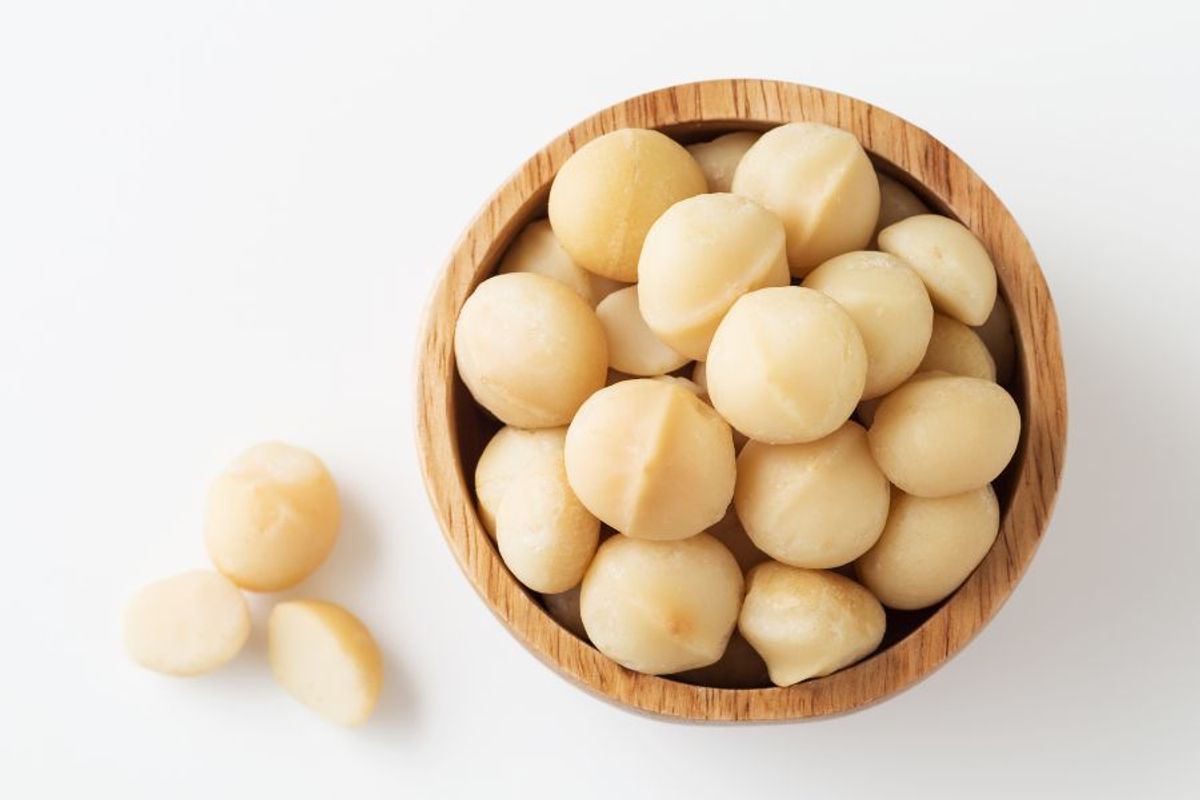 Nhân Hạt Macca Là Gì? Tại Sao Ai Cũng Mê?