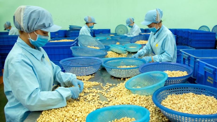 Danh sách 10 nhà sản xuất hạt điều lớn nhất Việt Nam