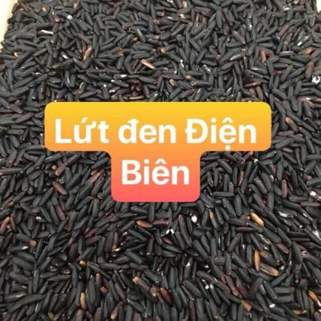 (5kg) Gạo lứt đen dẻo Điện Biên túi thường - gạo dẻo mềm, healthy food