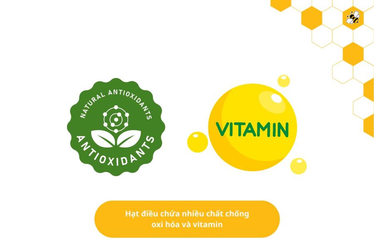 Hạt điều chứa nhiều chất chống oxi hóa và vitamin